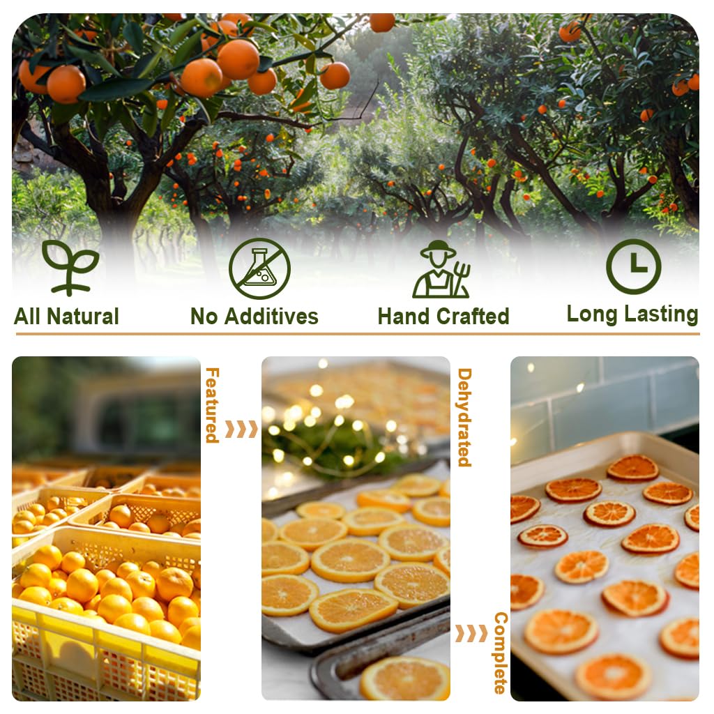 Dehydrated Orange Slices 100g, No Sugar & No Additives, Ideal for Cocktails, Garnishes, Cakes, Crafts and Tea Drinks