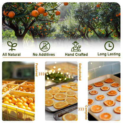 Dehydrated Orange Slices 100g, No Sugar & No Additives, Ideal for Cocktails, Garnishes, Cakes, Crafts and Tea Drinks