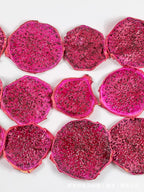 Dried Pitaya Slices | Bulk Wholesale Supply