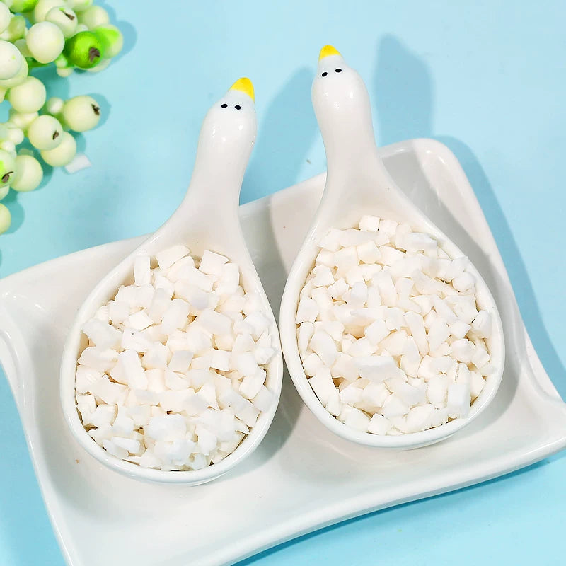 Freeze-Dried Coconut Dices