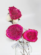 Dried Pitaya Slices | Bulk Wholesale Supply