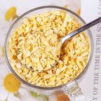 Factory Direct Freeze-Dried Durian Dices | Bulk Wholesale Supply